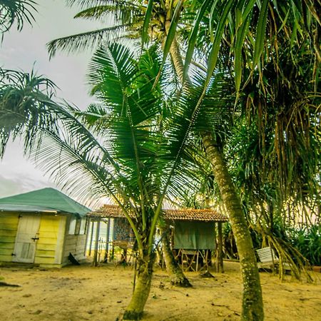 Hikkaduwa Backyard Beach Homestay Galle Exterior photo