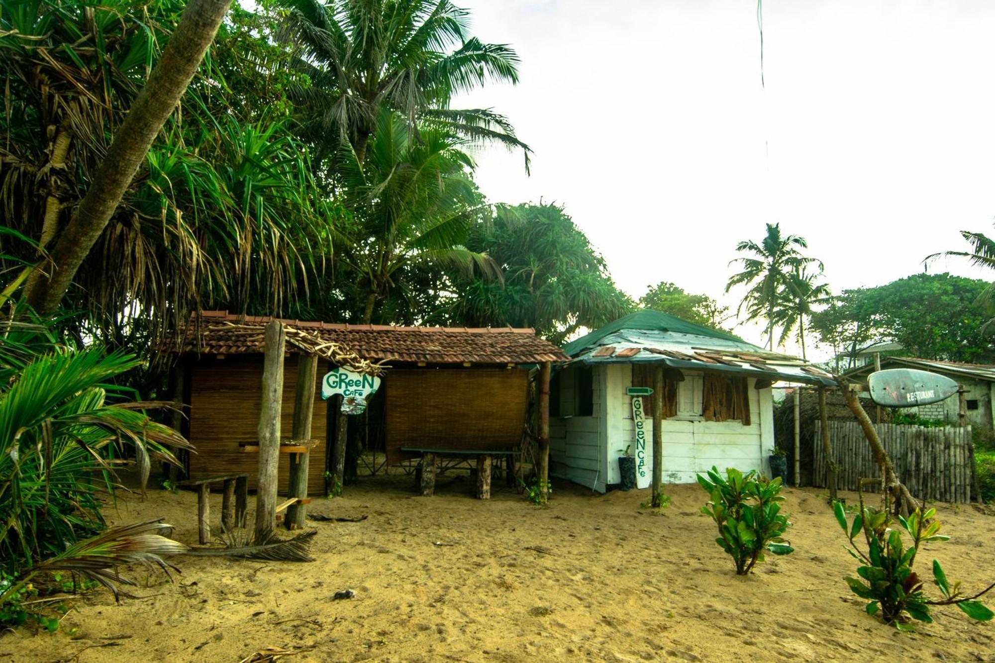 Hikkaduwa Backyard Beach Homestay Galle Exterior photo