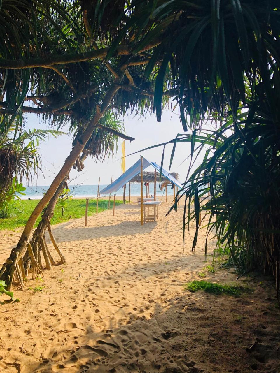 Hikkaduwa Backyard Beach Homestay Galle Exterior photo