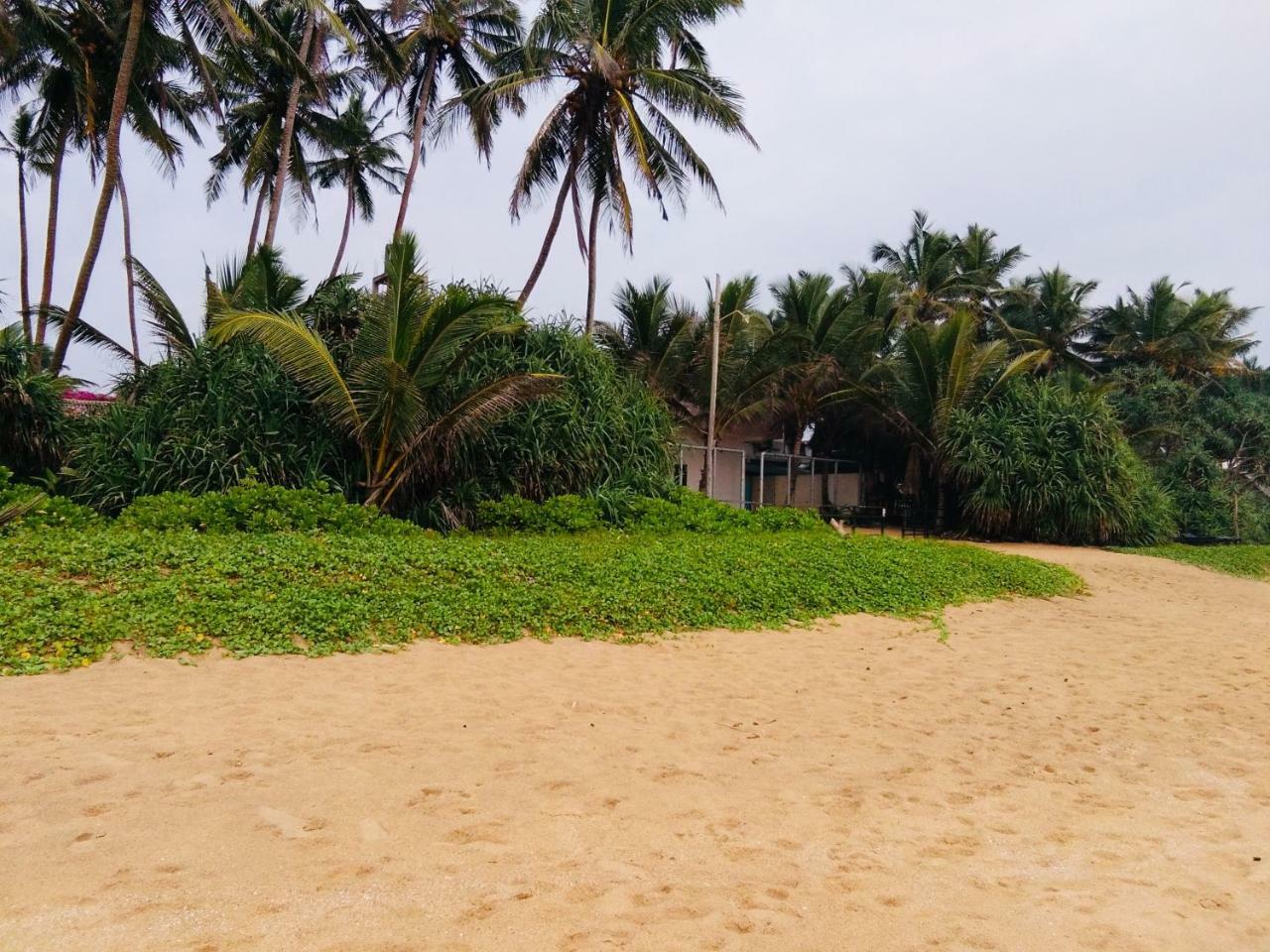Hikkaduwa Backyard Beach Homestay Galle Exterior photo