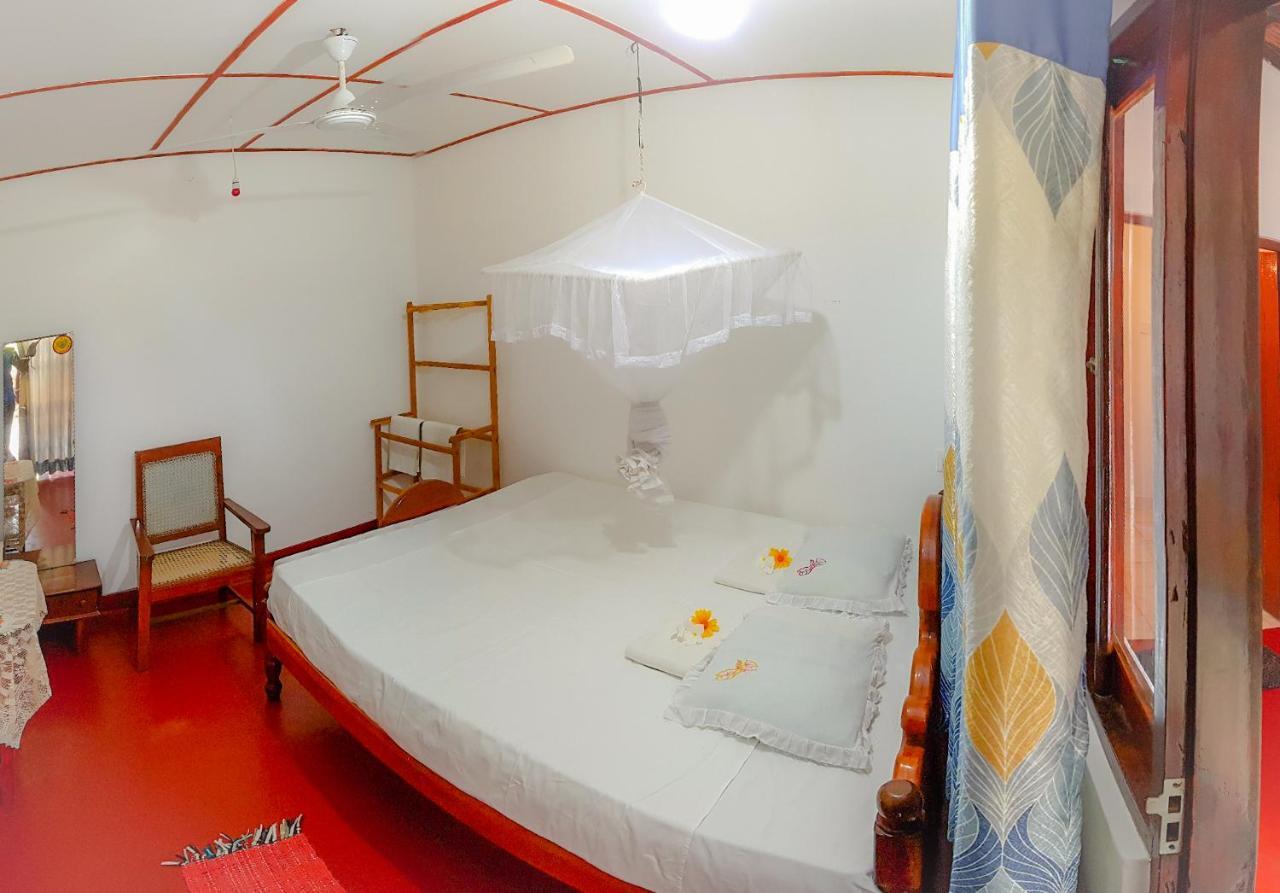 Hikkaduwa Backyard Beach Homestay Galle Exterior photo