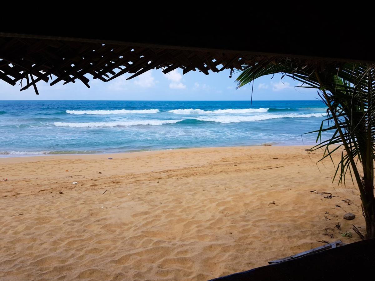Hikkaduwa Backyard Beach Homestay Galle Exterior photo
