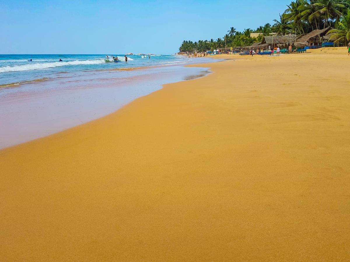 Hikkaduwa Backyard Beach Homestay Galle Exterior photo