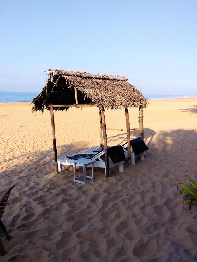 Hikkaduwa Backyard Beach Homestay Galle Exterior photo