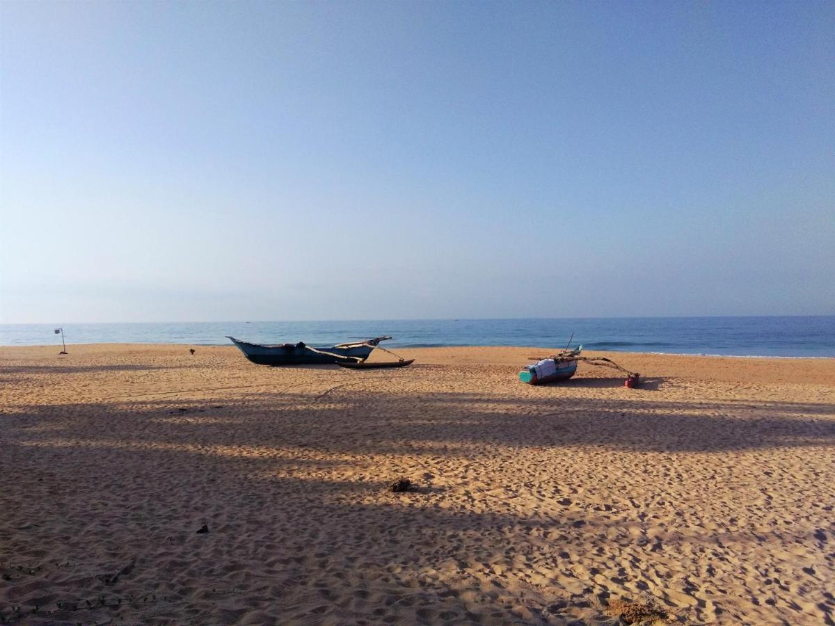 Hikkaduwa Backyard Beach Homestay Galle Exterior photo